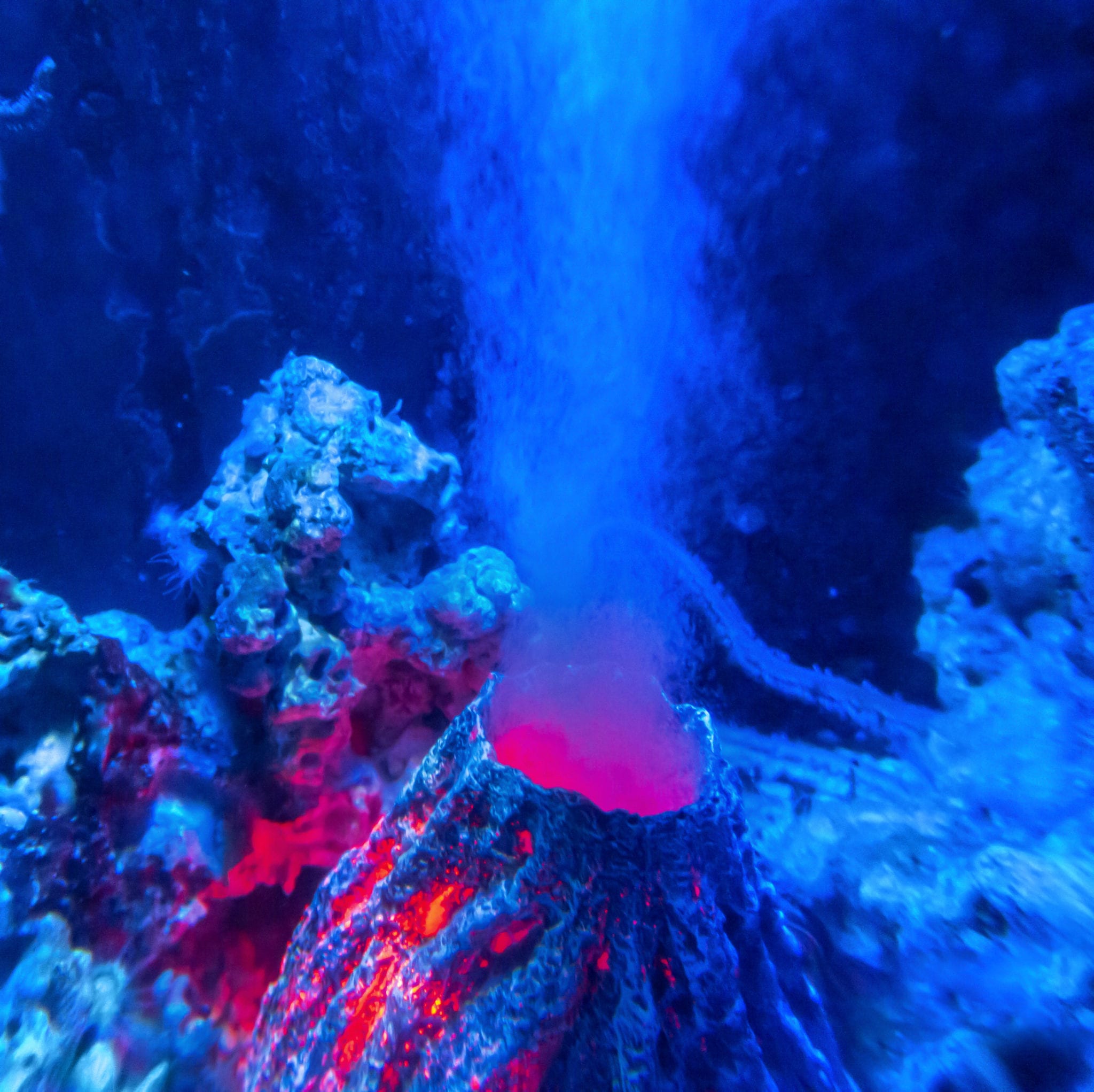 Deepsea volcanic eruptions create megaplumes that may have dispersed