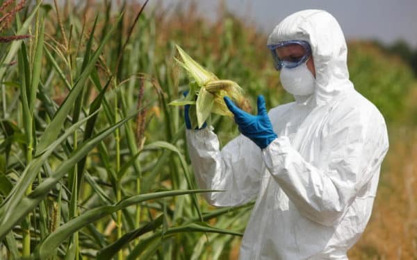GMO crops, gene edited crops, Genetic Technology Bill