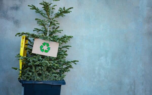 Christmas tree in bin, symbolic of post-Christmas January blues