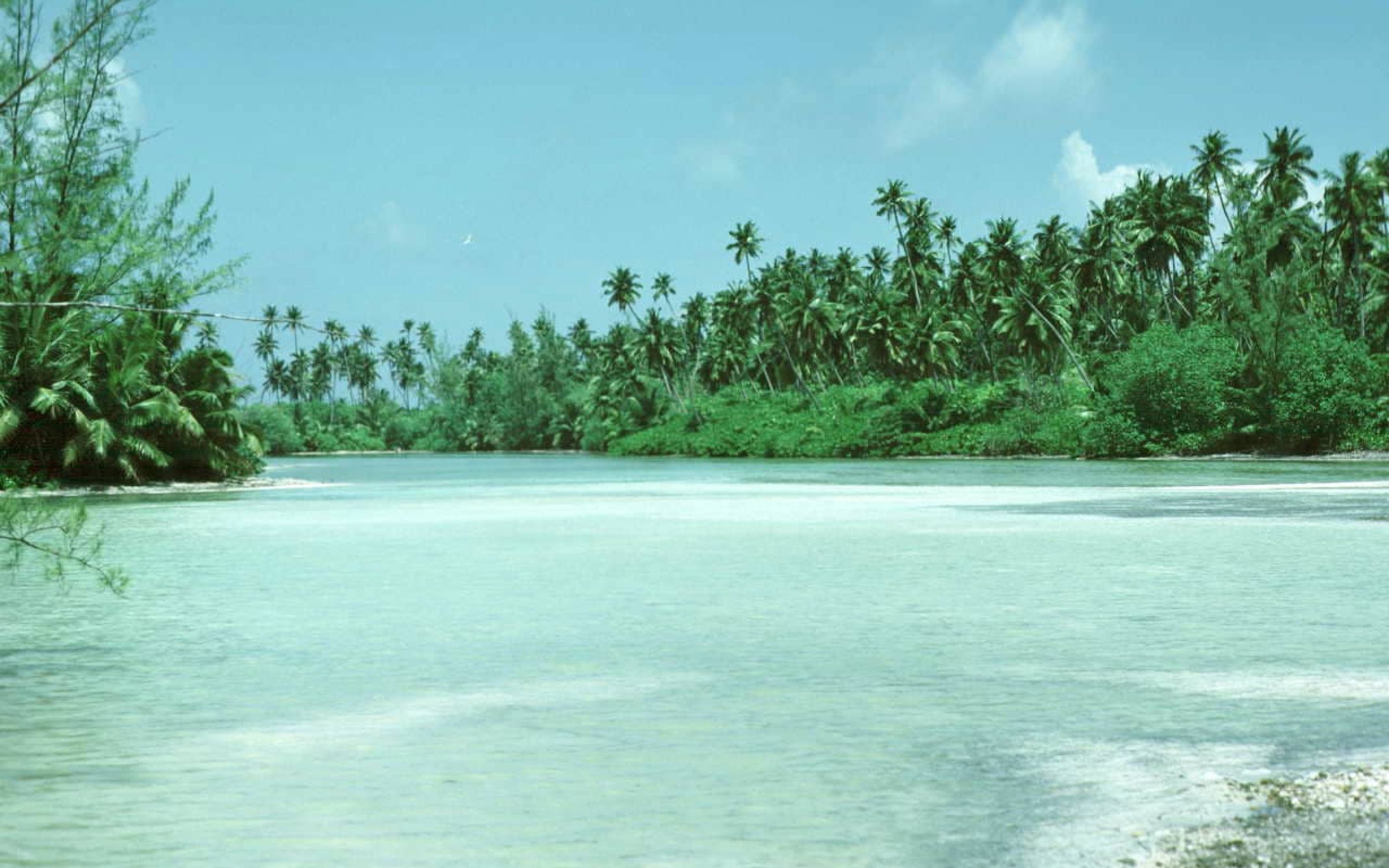 Diego Garcia in the he Chagos Archipelago (via Steve Swayne/ wikimedia)