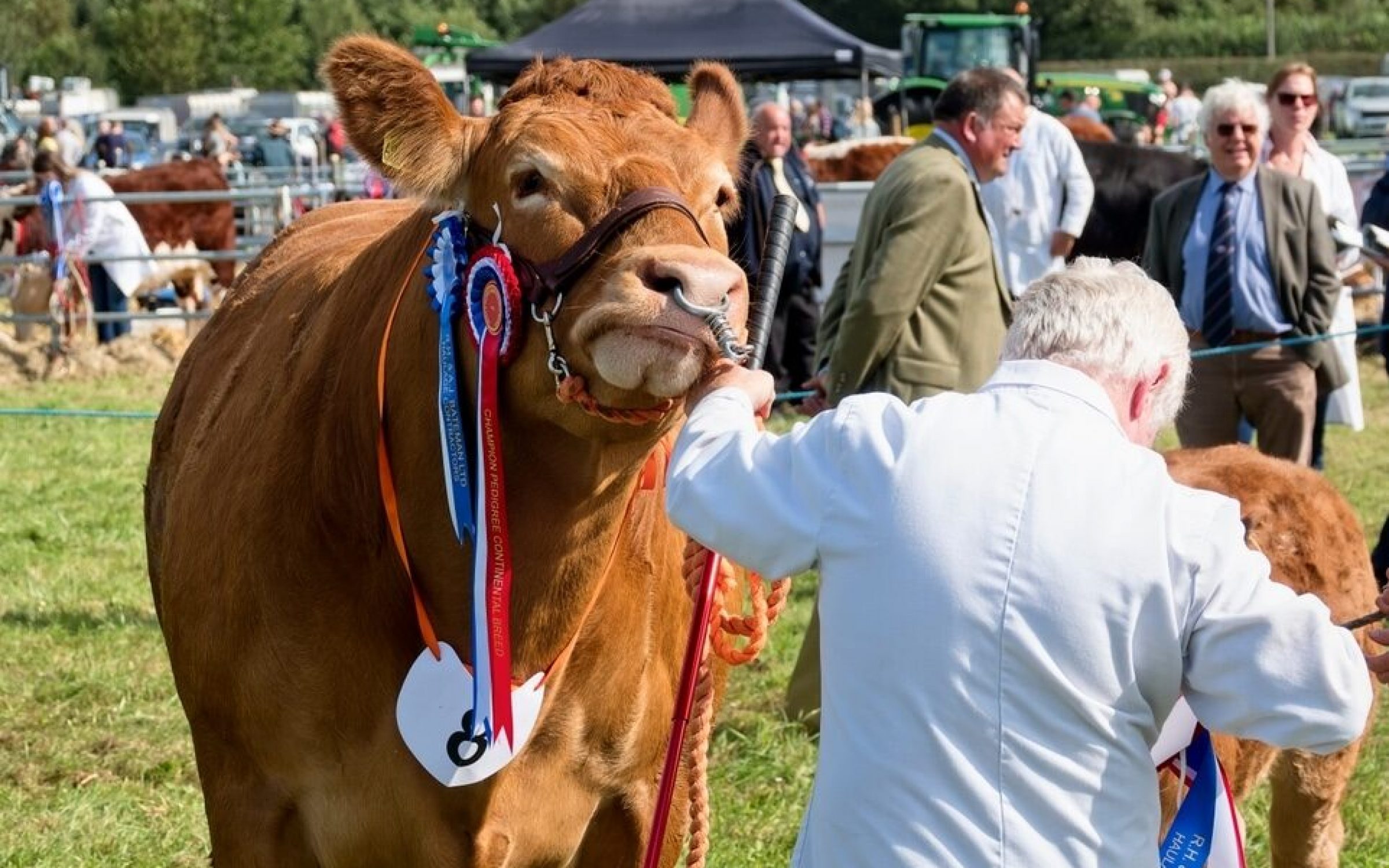 uk farming